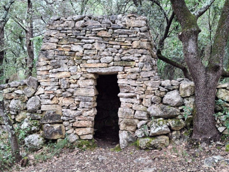 la Septième capitelle